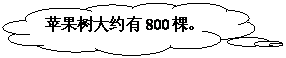 αע: ƻԼ800á 