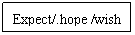 ı: Expect/.hope /wish