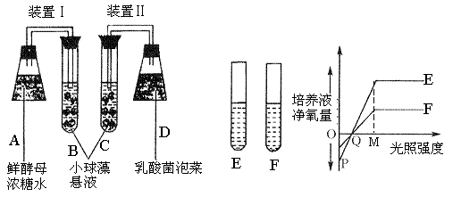 6ec8aac122bd4f6e