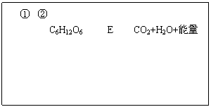 6ec8aac122bd4f6e,6ec8aac122bd4f6e,6ec8aac122bd4f6e