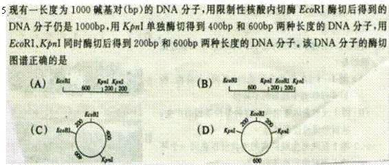 6ec8aac122bd4f6e