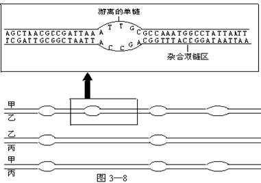 6ec8aac122bd4f6e