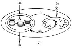 6ec8aac122bd4f6e